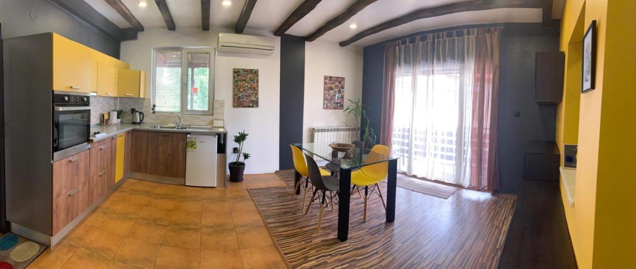 Trakia Street Apartment プロヴディフ エクステリア 写真