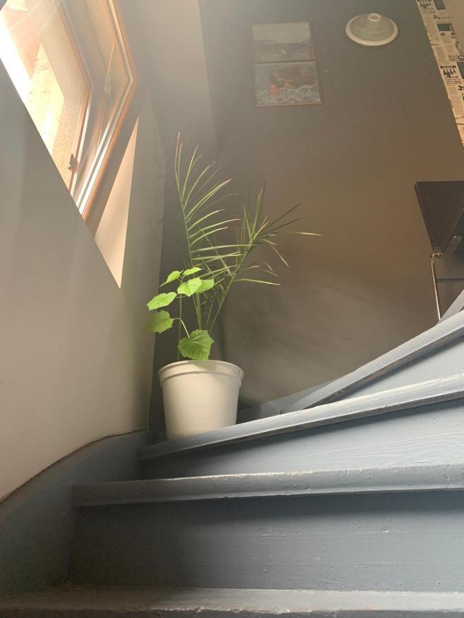 Trakia Street Apartment プロヴディフ エクステリア 写真
